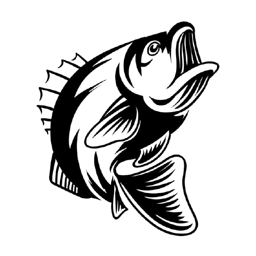 Poisson image vectorielle